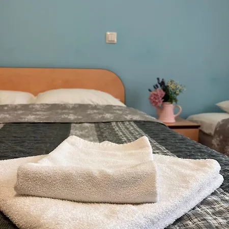 Old Guest house Brasov